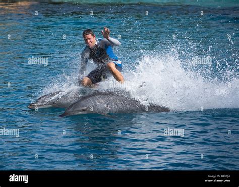 man dating dolphin